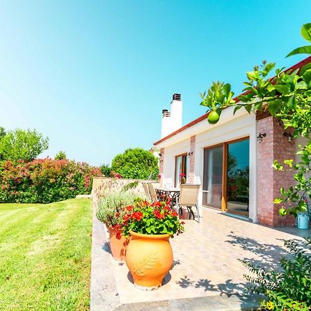 Villa Bougainvillea 埃帕诺米 外观 照片